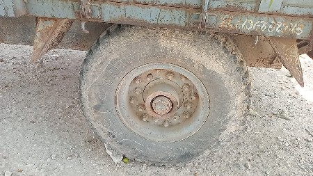 toli tayar