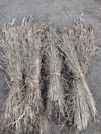 નીરણ વેચવાની છે