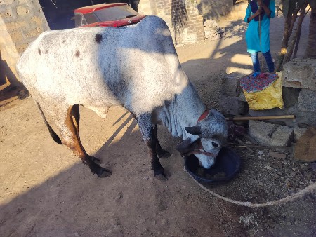 थंबनेल 2