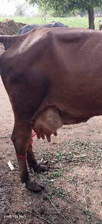 थंबनेल 2