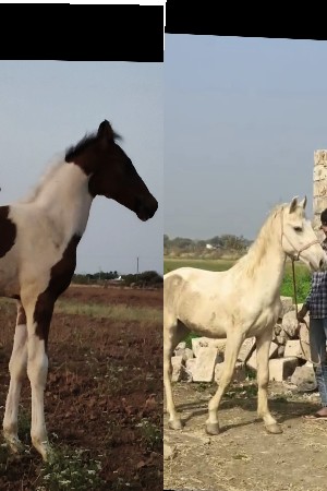 2 વસેરા વેસવાના સે 💯