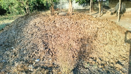 છાણિયું ખાતર દેવાનું છે