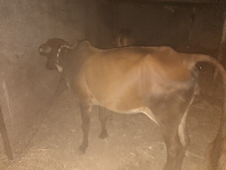 થંબનેલ 3