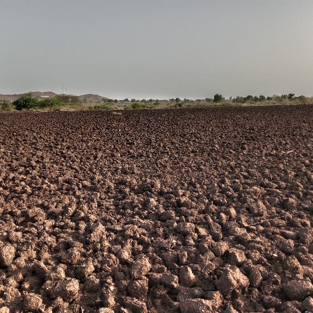 જમીન ફારમે દેવાની છે.