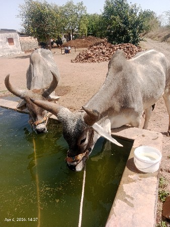 દાતૅ પુરા બધી જવાબદારી