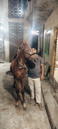 थंबनेल 3