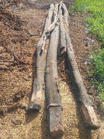 સરુર ની આડીયુ વેચવાની છે