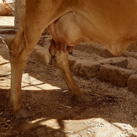 थंबनेल 3