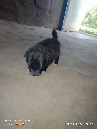 थंबनेल 3