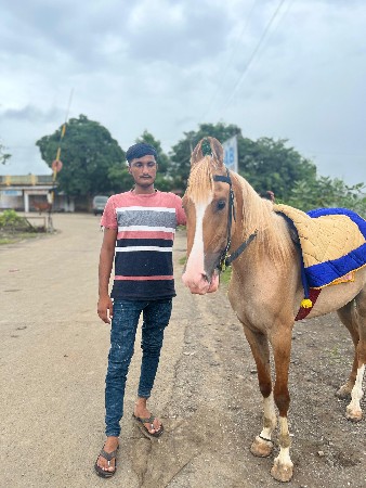 વેચવાની છે સાટા કરવાના છે