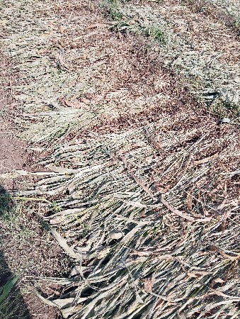 નીરણ વેચવાની છે