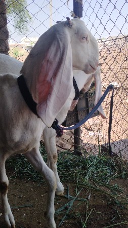 थंबनेल 2