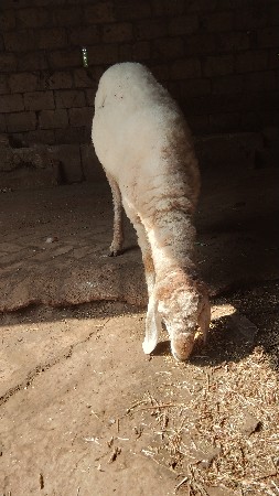 थंबनेल 3