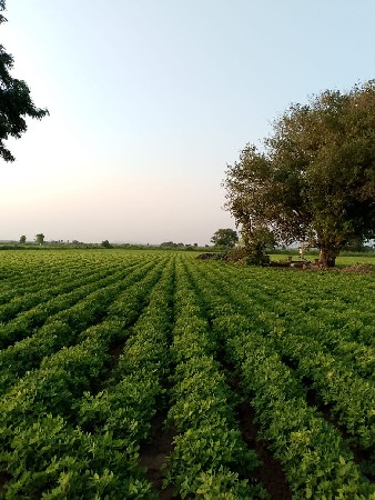 જમીન વેચવાની છે