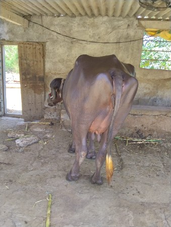 थंबनेल 2