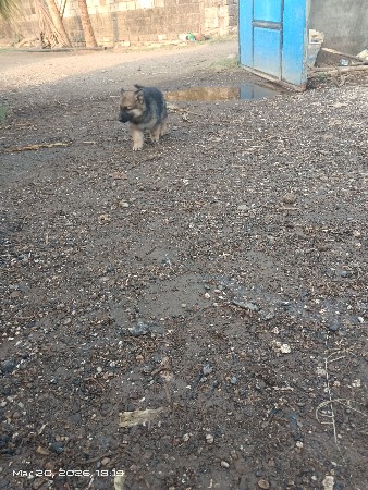 થંબનેલ 3