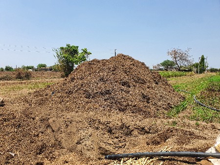 છાણિયું ખાતર વેચવાનું છે.