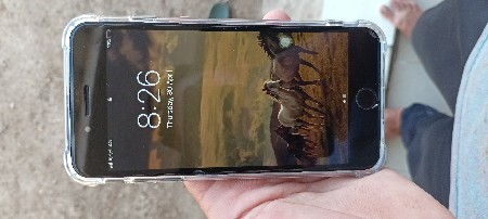 આઈફોન 7+ વેચવાનો છે