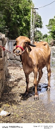 थंबनेल 3