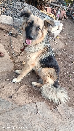 थंबनेल 2