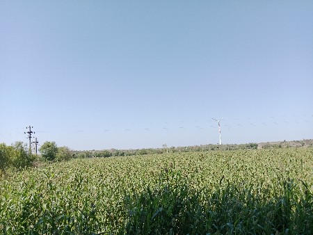 જાર વેચવાની છે