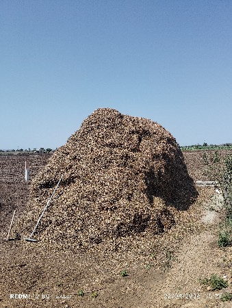 જી 20 નો પાલો વેચવાનો છે