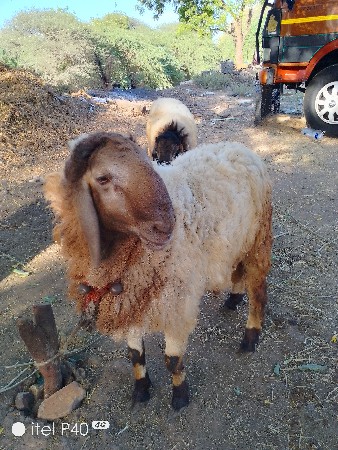 थंबनेल 2