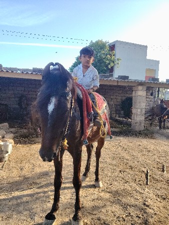 થંબનેલ 2