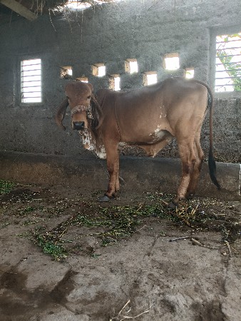 थंबनेल 2