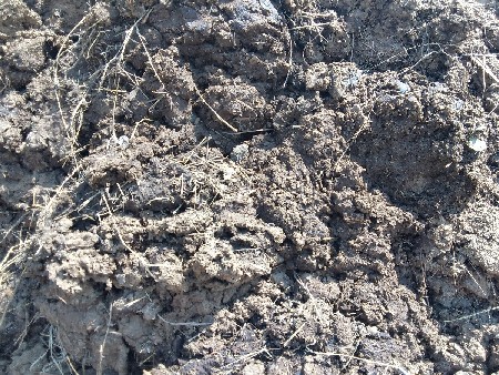 ખાતર છાણીયું