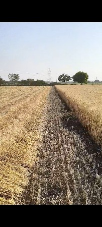 કીશાન નુ રીપર મશીન છે