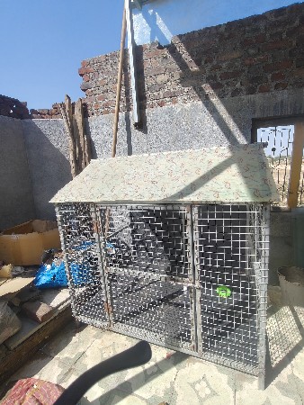 દેવાનું છે