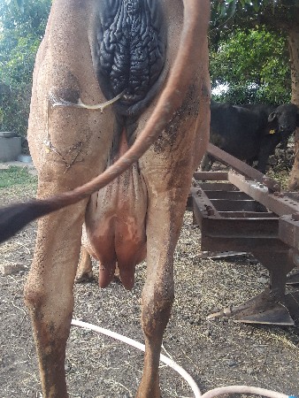 थंबनेल 3