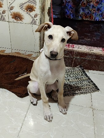 કોઈ ને જોતું હોય તો લઈ જાવો