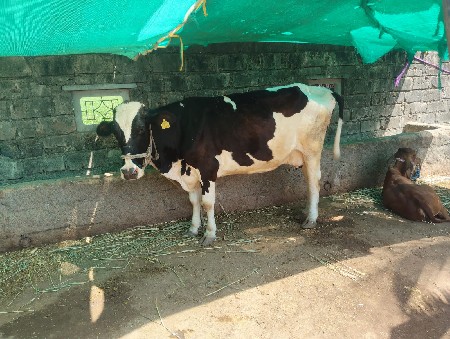 थंबनेल 2