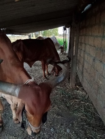 આબડધવેચવાનાછે