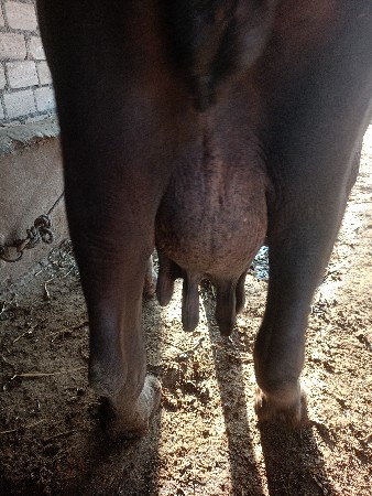 થંબનેલ 3