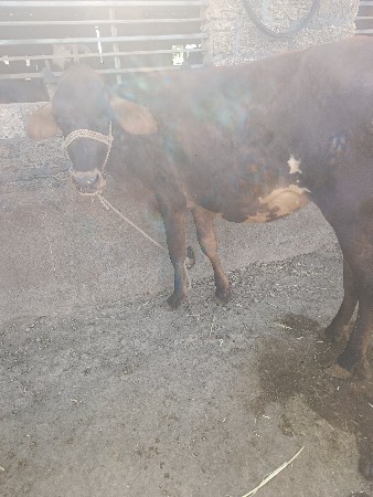 थंबनेल 2