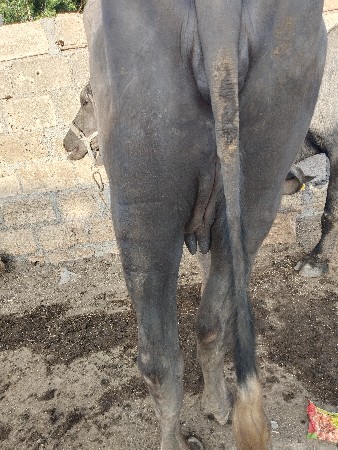 थंबनेल 2