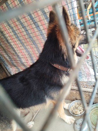 थंबनेल 2