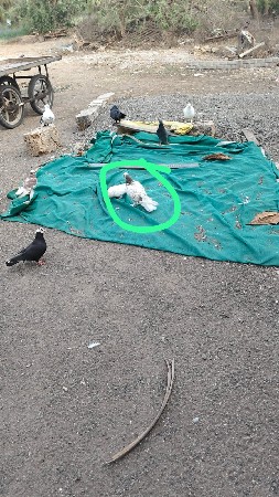 थंबनेल 3