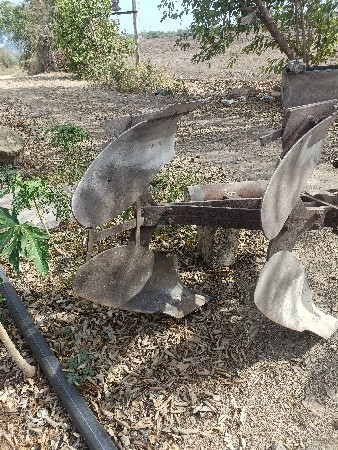 थंबनेल 2