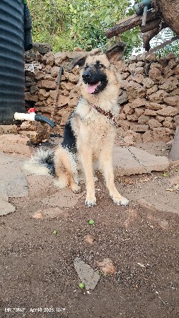 थंबनेल 3