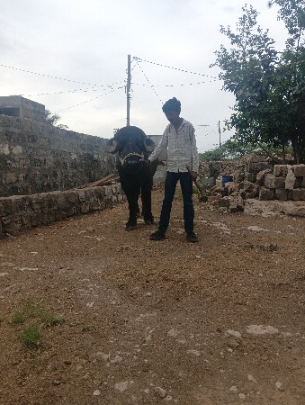 थंबनेल 2