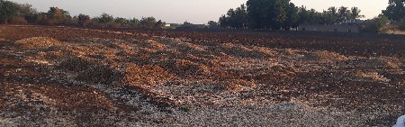 લસણ ના લોદર વેચવાના છે