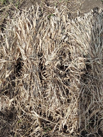 સાર વેચવાની છે