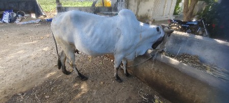 थंबनेल 2