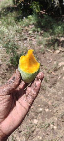 थंबनेल 3