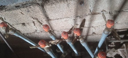 Paragon company na fuara