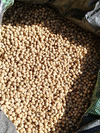 B2 ચણા વેચવાના છે.